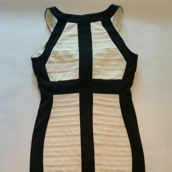 NWOT Dress byJax | Ivory/Black Tiered Seamed Dress - Picture 7 of 8